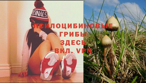 прущий лед Магадан